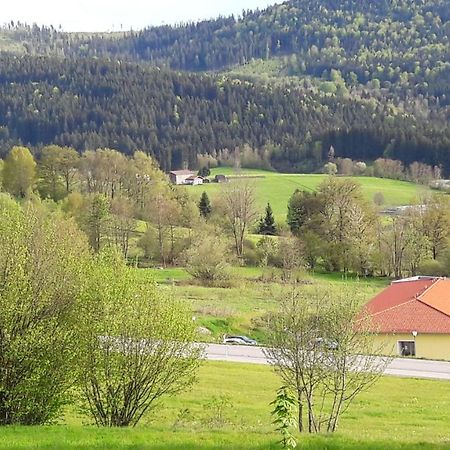 Appartement Harlachberg-Blick-2 Bodenmais Exterior foto