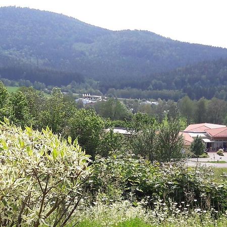 Appartement Harlachberg-Blick-2 Bodenmais Exterior foto